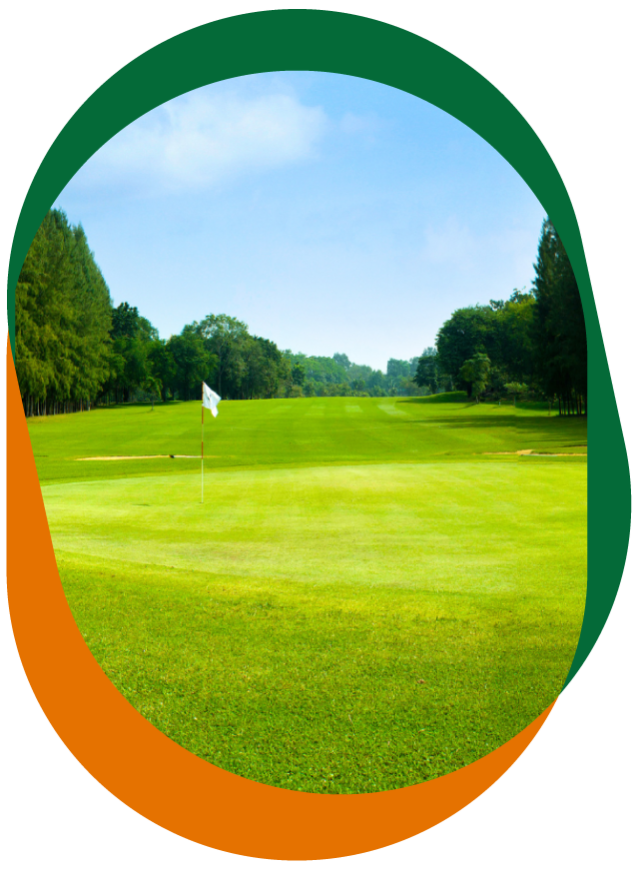 Golf green with blue skies and green trees in the background